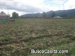 VENDO LOTE SALIENDO DE EL COLEGIO