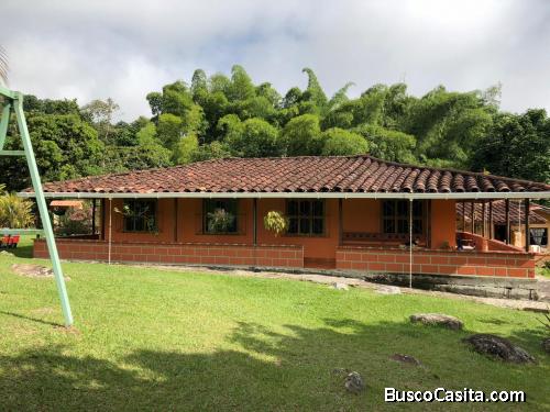 Finca para la venta en Támesis Antioquia 