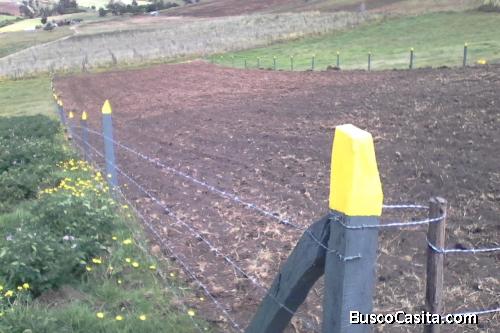 Vendo Excelente Lote 5865 M2 en Tota,Boyacá. 