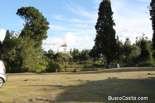 Lote industrial entre el Hipódromo y el aeropuerto
