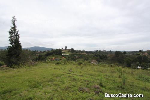 Lote industrial entre el Aeropuerto y el hipódromo