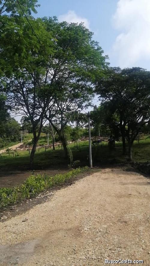 VENTA DE EXCELENTES LOTES CAMPESTRES.CLIMA CÁLIDO.