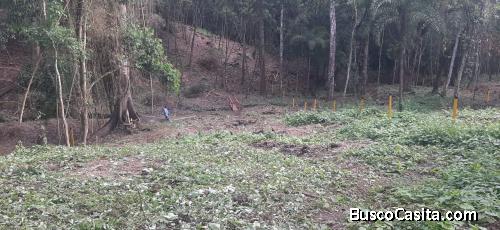 VENTA DE EXCELENTES LOTES CAMPESTRES.CLIMA CÁLIDO.