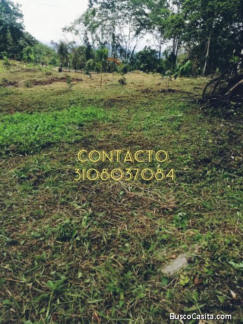 lotes campestres. excelente ubicación.