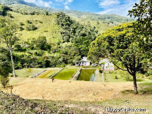 Finca en San Luis 48.000 m²