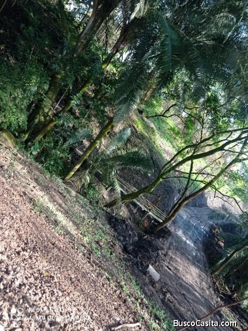 Excelentes lotes rurales, clima cálido.