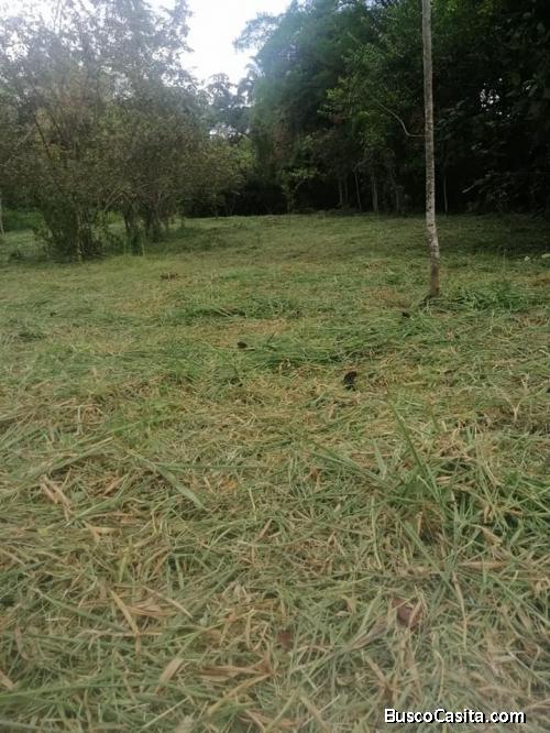 Venta de lotes rurales, variedad de naturaleza, cerca al pueblo.