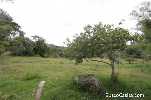 Lote en Guarne, vereda El Molino