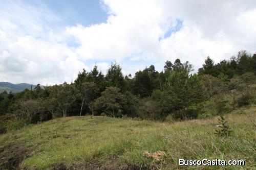 Lote en vereda El Molino. Guarne