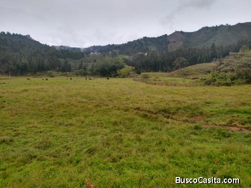 Lote para parcelar en Guarne, vereda La Hondita