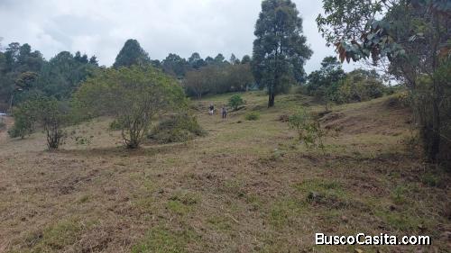Lote en Guarne, vereda La Pastorcita