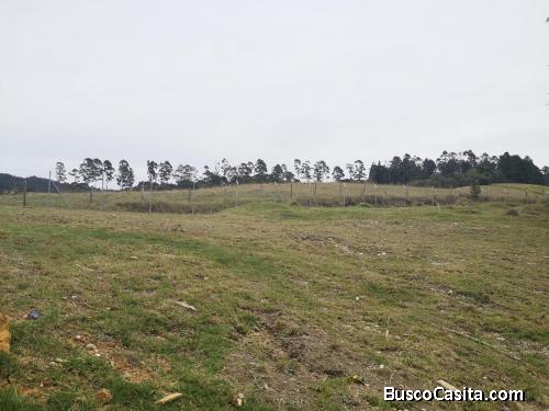 Lote en el alto de palmas, Medellín