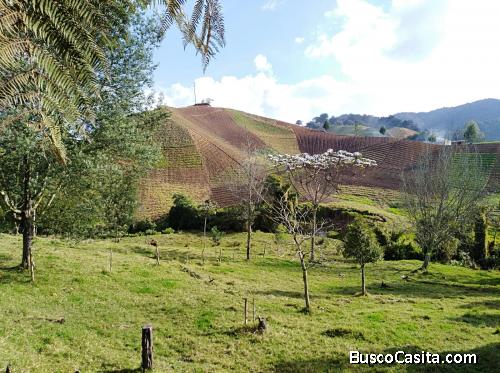 Espectacular lote en La Ceja, Antioquia