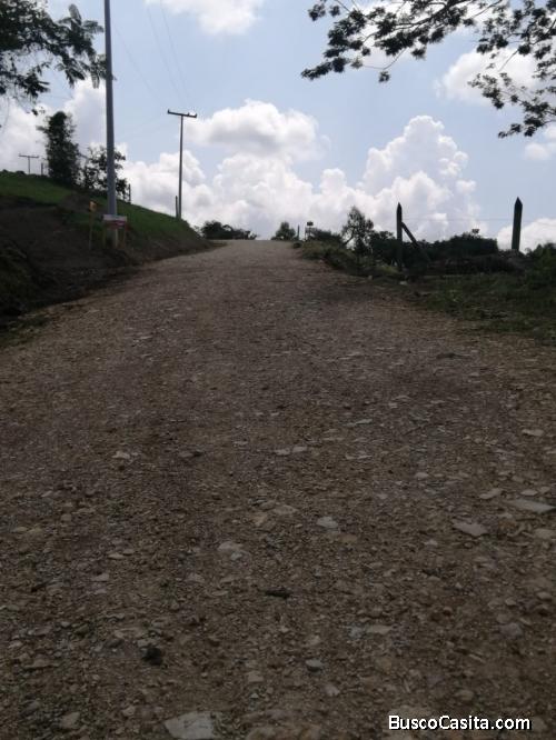 Venta de lotes rurales, variedad de naturaleza, cerca al pueblo.