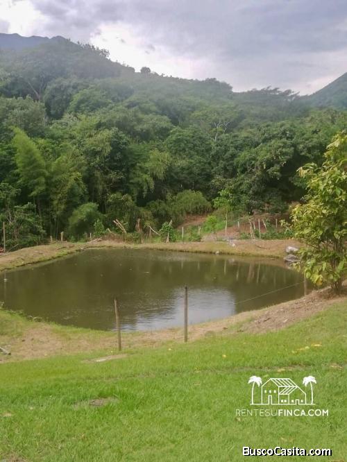 Alquiler de agradable finca en San Jeronimo cod 203