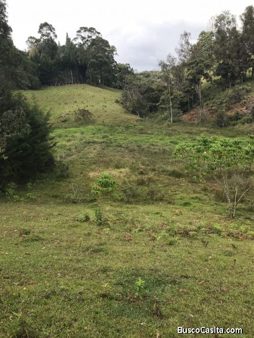 Aprovecha esta oportunidad de inversión y compra tu lote soñado en el Carmen de Viboral