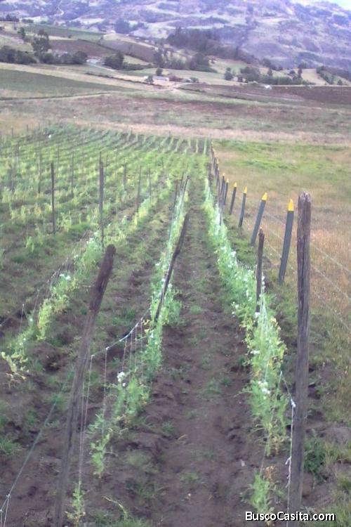Vendo Excelente Lote Tota, en Boyacá.