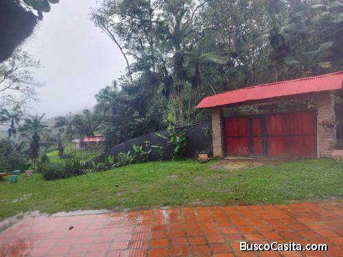 VENDO FINCA EN DAPA