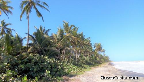 Lote Frente al Mar en Palomino, La Guajira, Colombia 