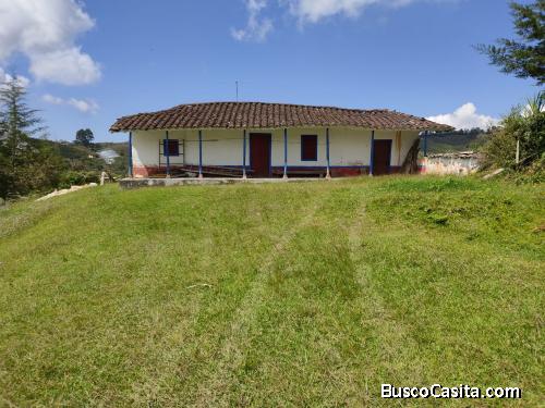 Lote entre Guarne y Girardota, vereda Ovejas