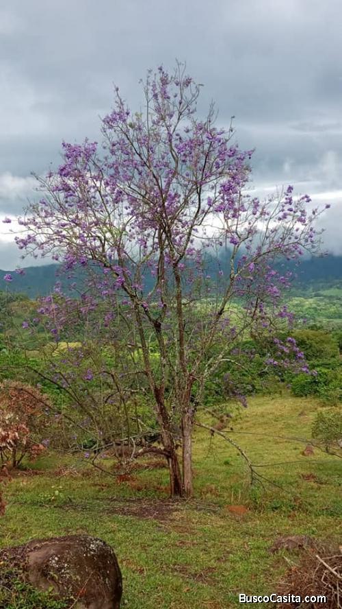  Espectaculares lotes y fincas en clima cálido.
