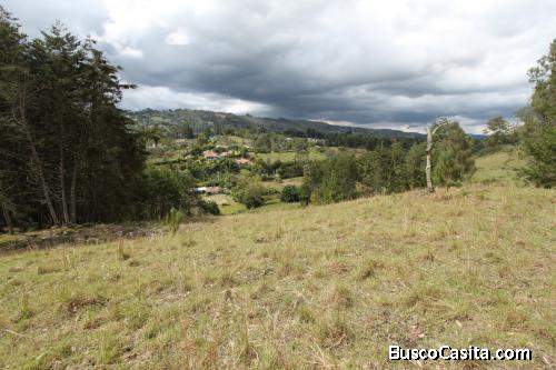 Lote en Rionegro, vía al aeropuerto