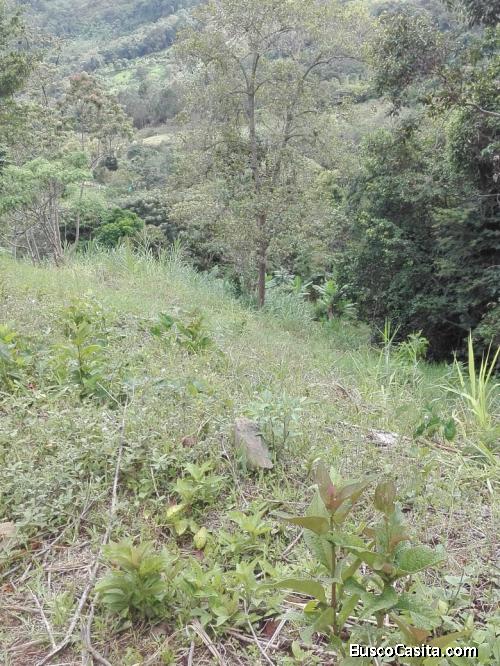 FINCA DE 4.000 M2 EN ARBELAEZ, CUNDINAMARCA