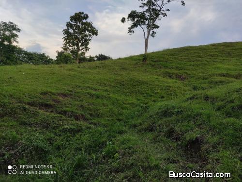 Lotes en Doradal Antioquia, Parcelas California
