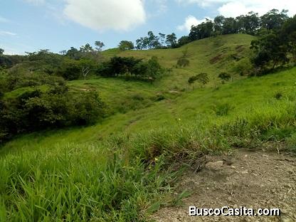 Oferta Finca Proyecto Agroganadero o Turística