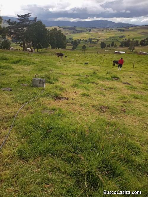 Venta de finca 