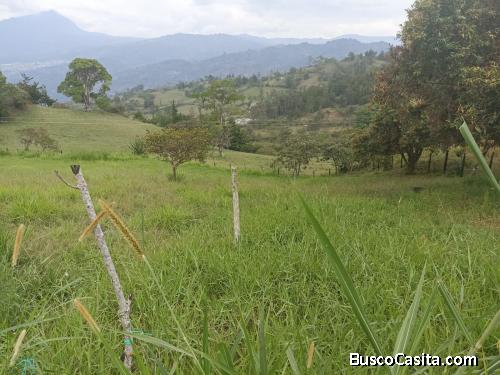 Se Vende Finca Bonita en Tenza Boyacá