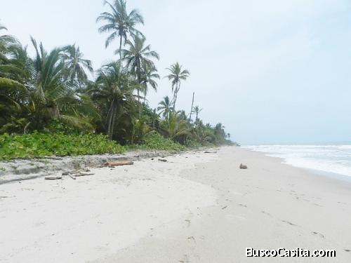 Lote Frente al Mar en Palomino, La Guajira, Colombia 