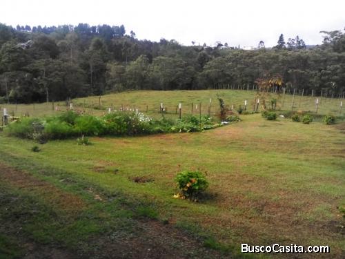 Lote en Guarne, vereda El Molino
