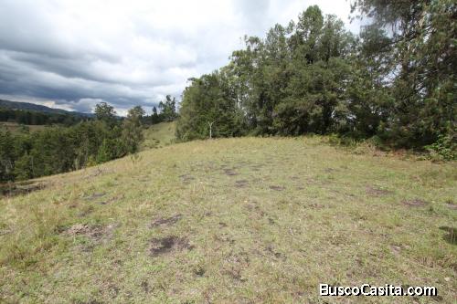 Lote en Rionegro, vía al aeropuerto
