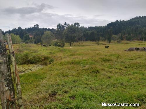 Lote en Guarne, vereda La Hondita