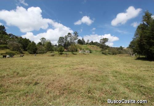 Lote plano en Guarne, vereda El Sango