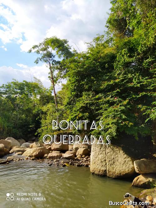 Venta de lotes rurales, variedad de naturaleza, cerca al pueblo.
