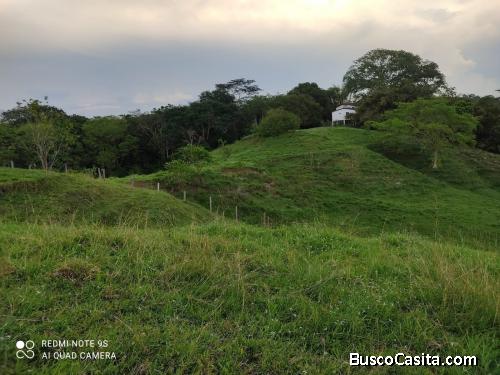 Lotes en Doradal Antioquia, Parcelas California