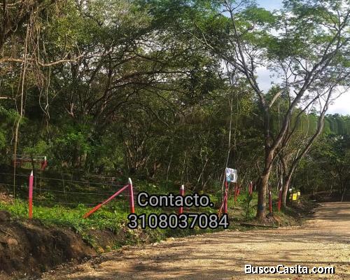 Venta de lotes rurales, variedad de naturaleza, cerca al pueblo.