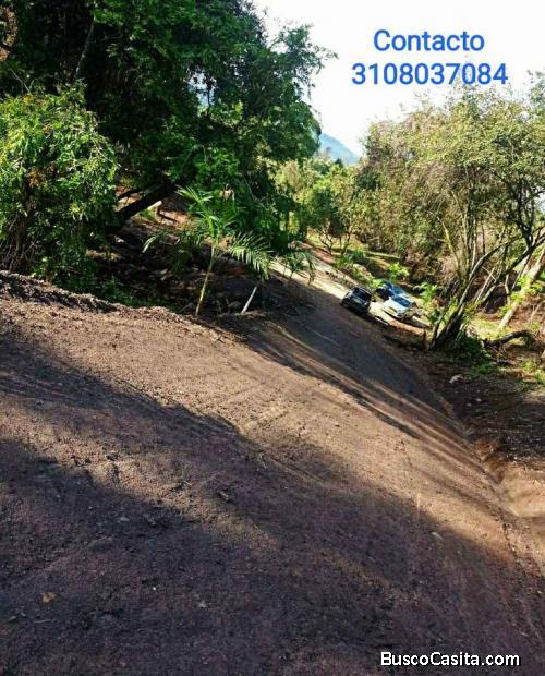 Venta de lotes rurales, variedad de naturaleza, cerca al pueblo.