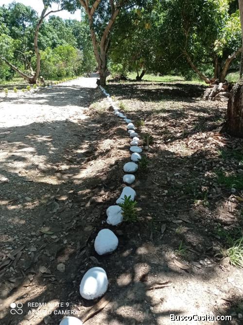LOTES EN VIOTA Y AGUA DE DIOS