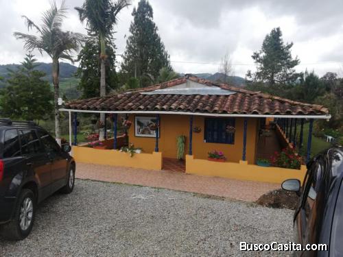 Villa Paula. La finca de tus sueños