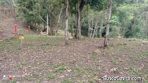 LOTES CAMPESTRES VIOTA Y AGUA DE DIOS