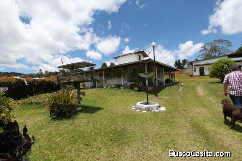 Finca en Guarne vereda El Molino