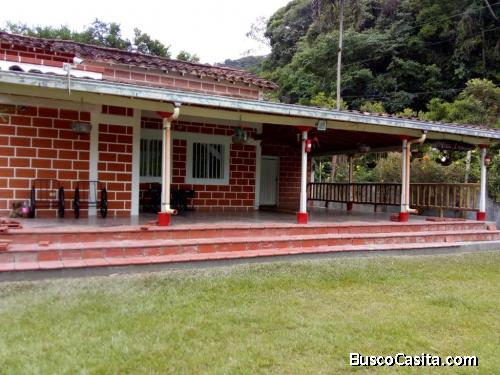 Finca para la venta en san Rafael Antioquia 