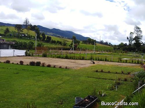 VENTA DE LOTES PARA VIVIENDA UNIFAMILIAR