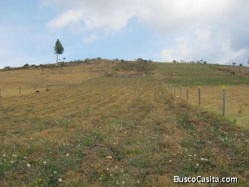 Vendo lote rural 5.865 M2 Tota, Boyaca.