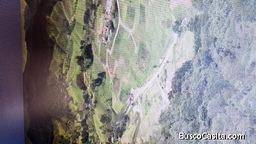 Vendo lotes SINDAMANOY desde 10.000 a 13.000 metros, en la parte alta, vista panotamic espectacular.
