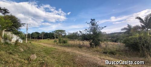 lote de 1700 por solo 80 millones dibles tres