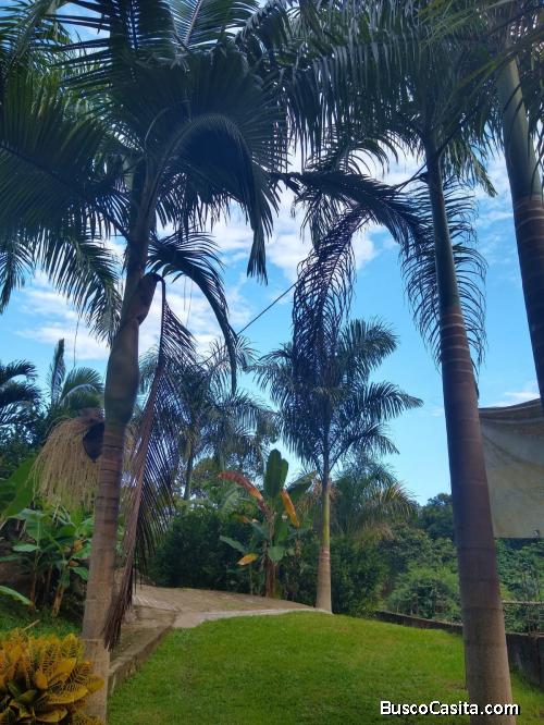VENTA CASAQUINTA MELGAR TOLIMA COLOMBIA